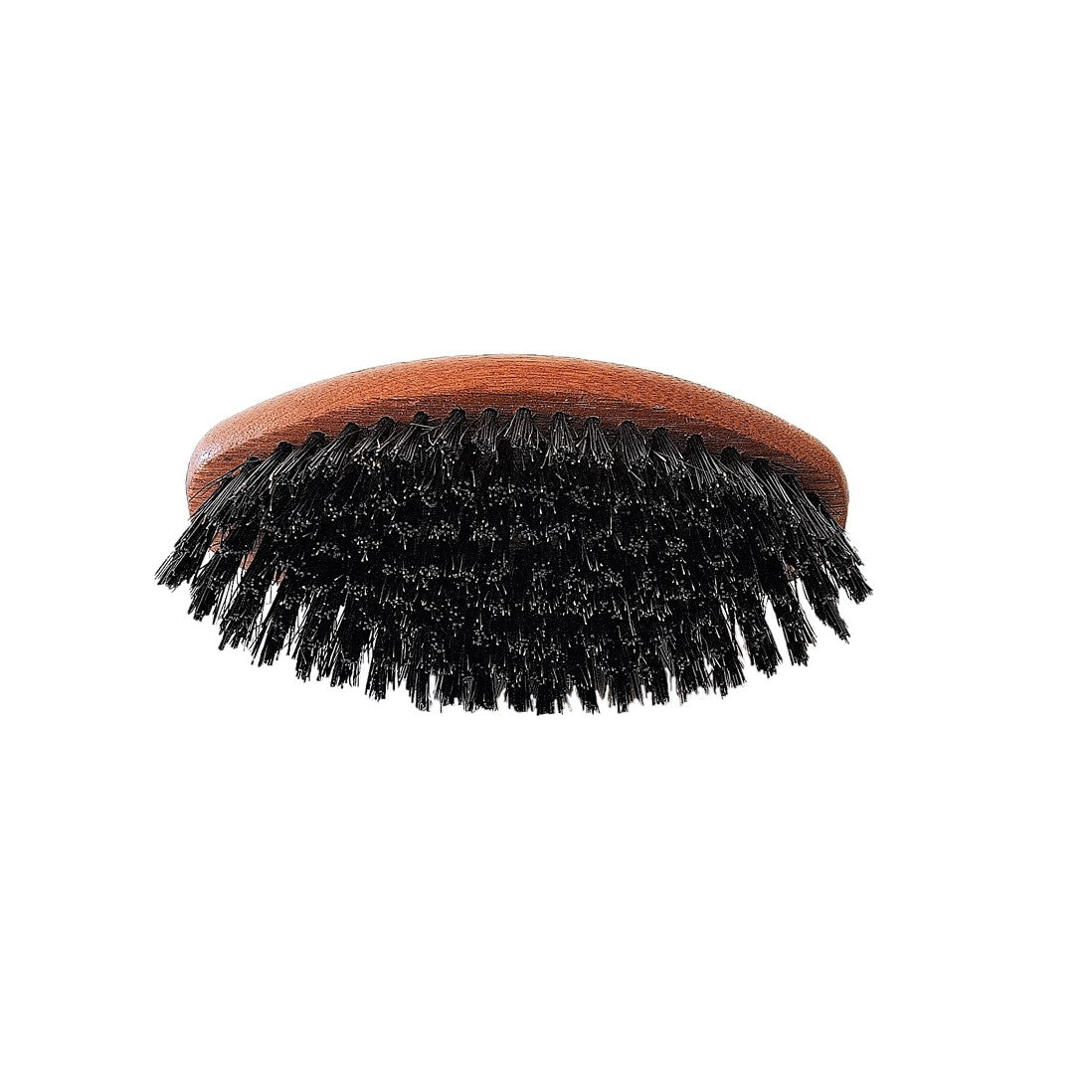 BARBA / oval Grande, pua normal