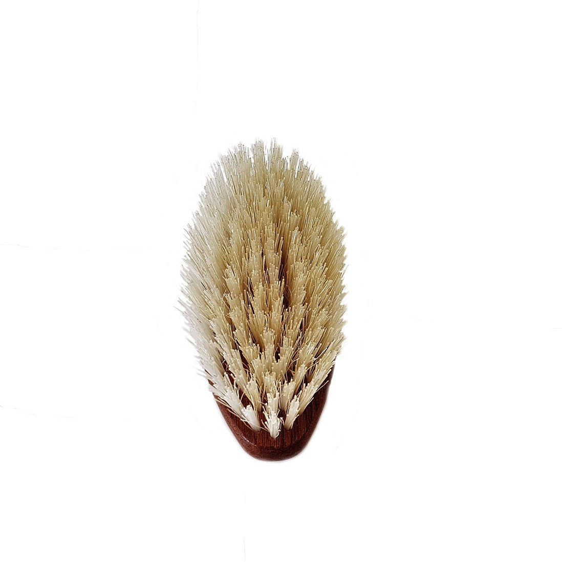 BARBA / oval Grande. pua Blonde